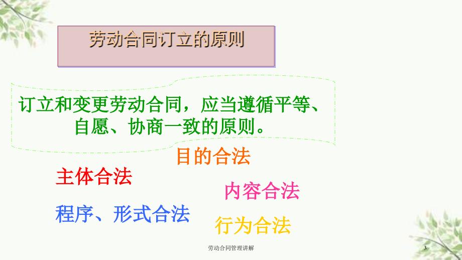 劳动合同管理讲解课件_第3页